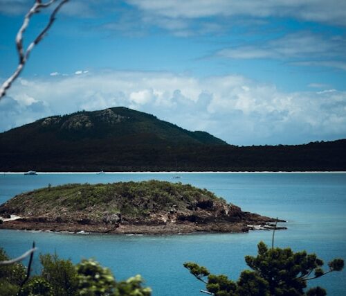 lizard island